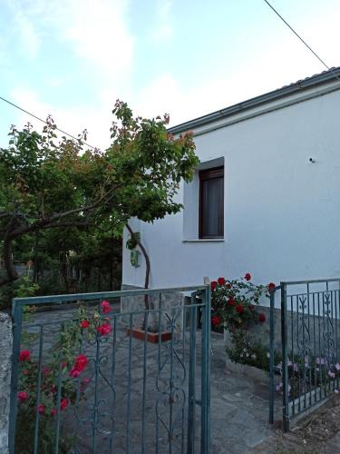 Tempi House | ΠΑΡΑΔΟΣΙΑΚΗ ΚΑΤΟΙΚΙΑ
