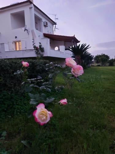 Velon Villa | Aethera Maisonette
