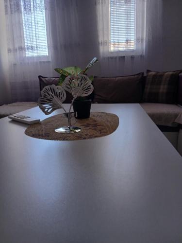 Çagllavicë Apartment | Affordable and Fully Furnished Apartment Fushë Kosovë, Ground Floor
