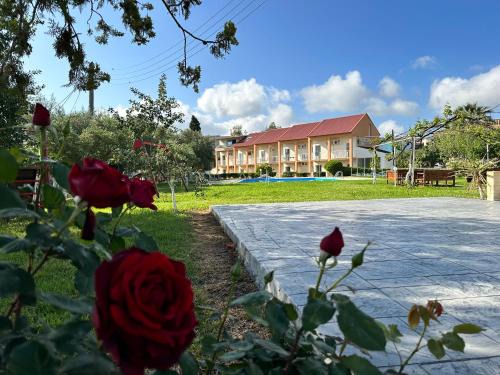 Messonghi Apartment | Aggelos Family Hotel