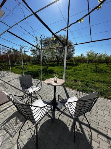 Shkoder House | Ajasma Rooms
