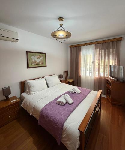 Gjirokaster Apartment | Alex Guest Apartment