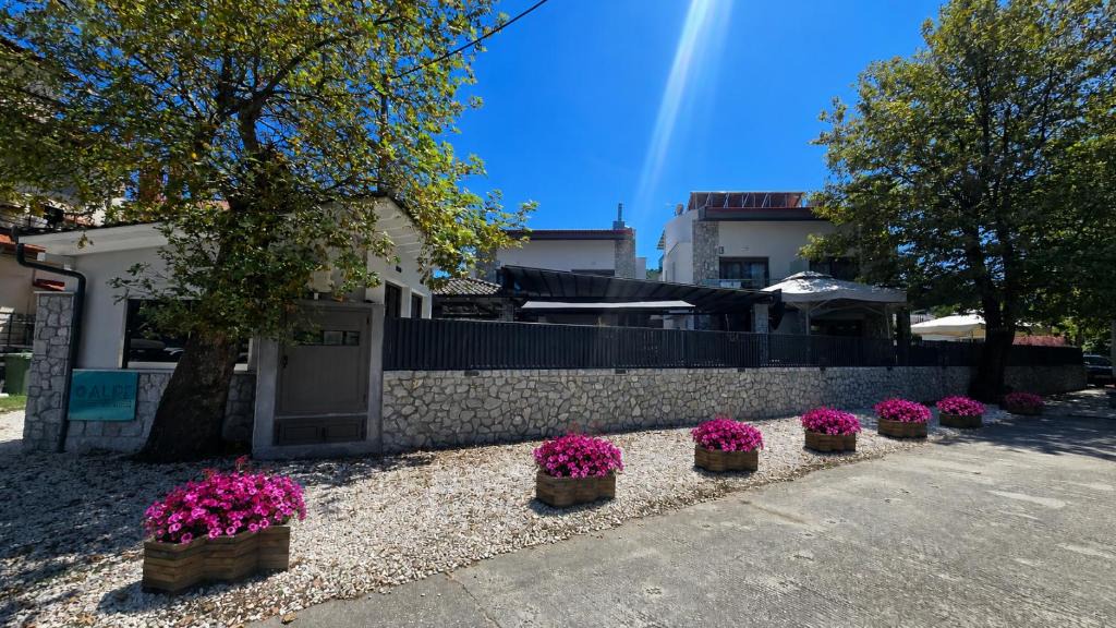 Olympiada Apartment | ALPE LUXURY ACCOMMODATION Penelope Collection