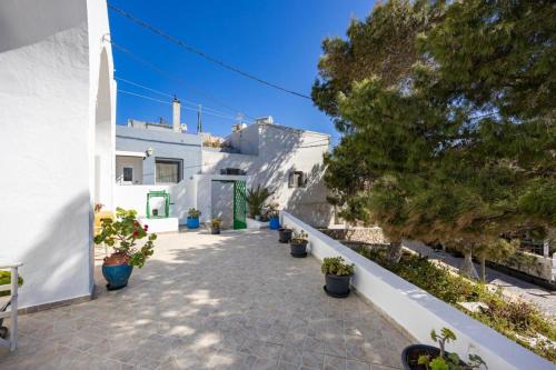 Pyrgos House | Amoni House- An authentic village stay