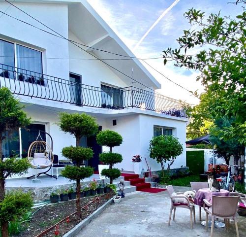 Shkoder Villa | Artists Guest House