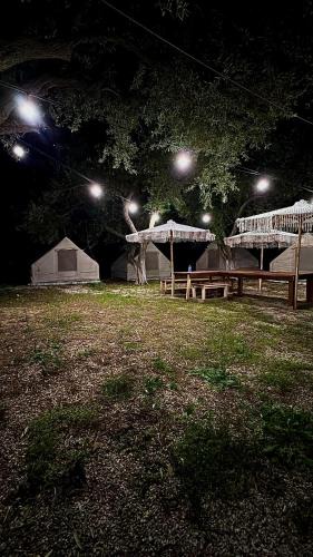 Qazim Pali Other | Bocana Camping Borsh