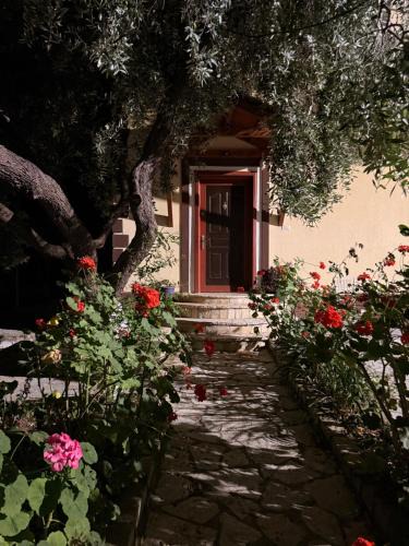 Borsh House | Borsh Grove Villa