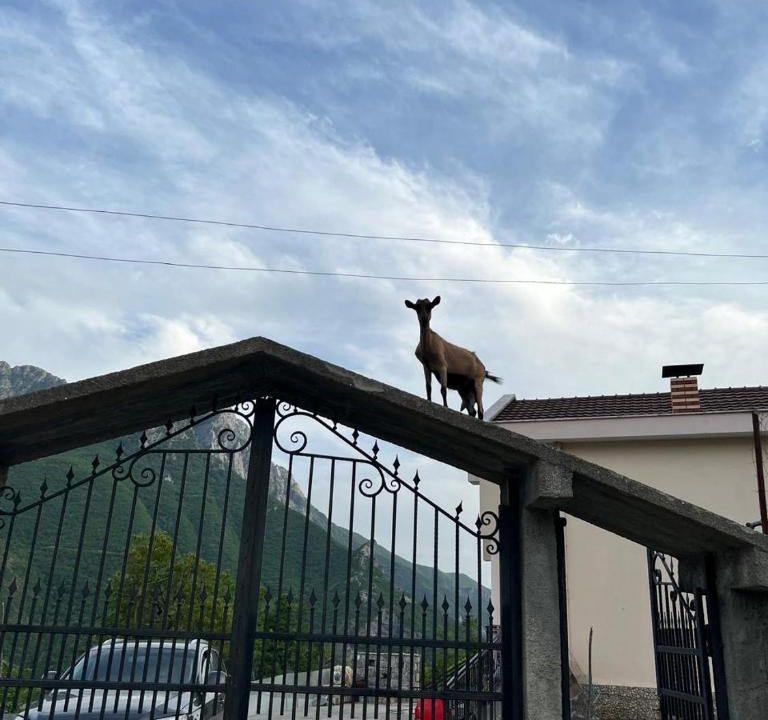 Kukes County House | Bujtina Merturi