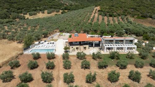 Aristotelis House | Casa Del Olivar