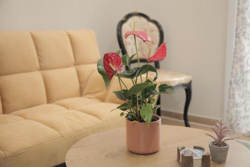 Agios Dimitrios Apartment | Casa Urbana