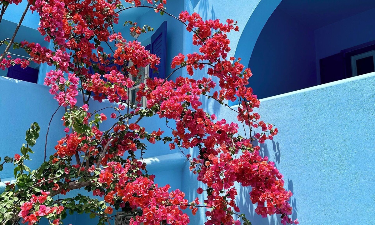 Old Town Naxos Hotel | Celeste NAXOS Chora