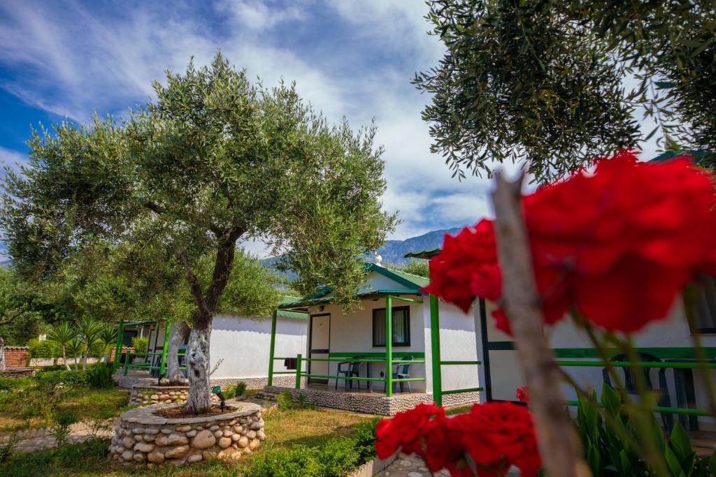 Dhermi Ski Chalet | Chalet Ambel