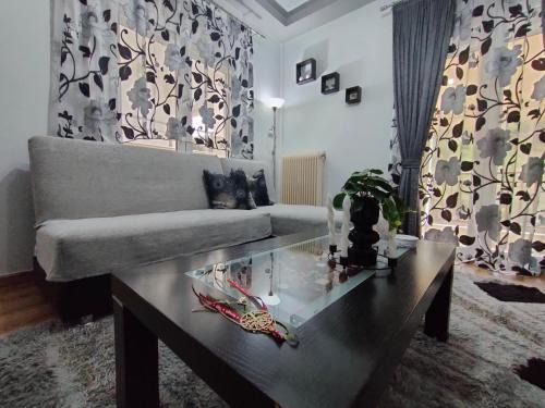 Kastoria Apartment | Crestio apartment Καστοριά