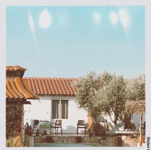 Fier House | Diarla's Home 3