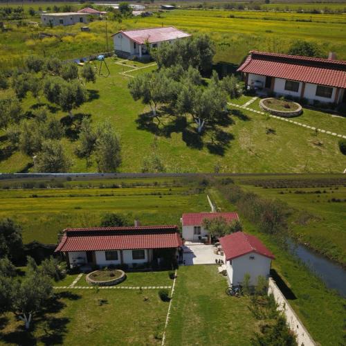 Fier Villa | Diarla's Home