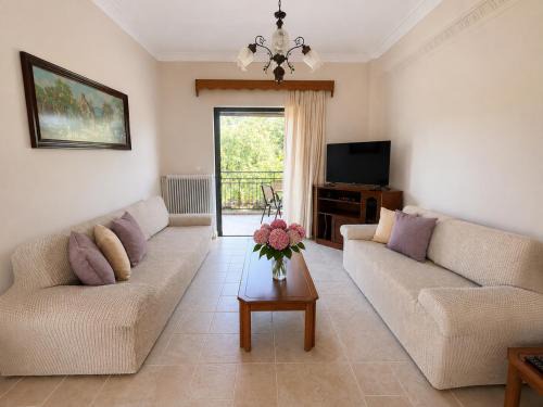 Thesprotia Apartment | Dimitris house