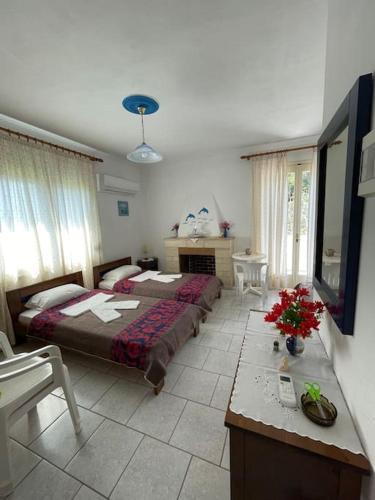 Paralia Agias Fotinis Apartment | Dolphins