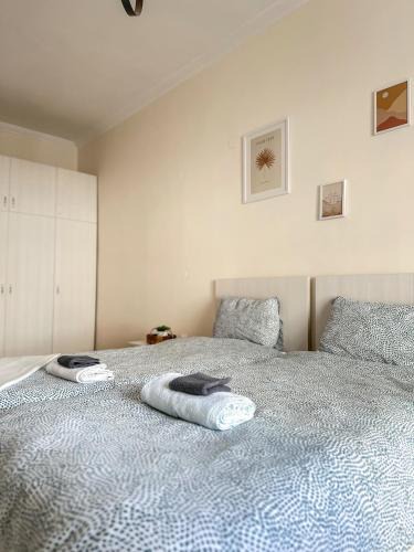 Alexandroupoli Hostel | Downtown Hostel AXD