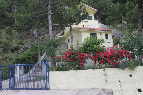 Jala Apartment | Eagle's nest