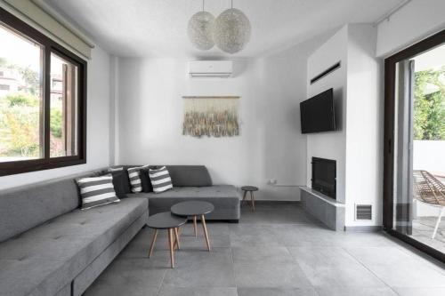 Siviri Villa | Elani Cactus House