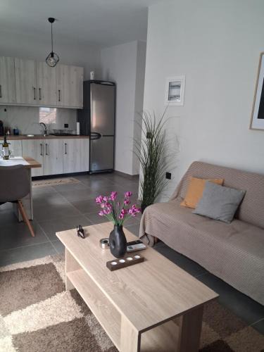 Mesolongi Apartment | Elegance Apartments Mesologgi