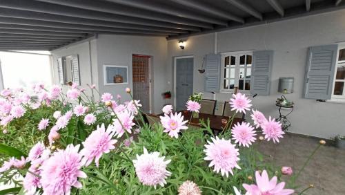 Ano Siros Apartment | Emilia's Guest House