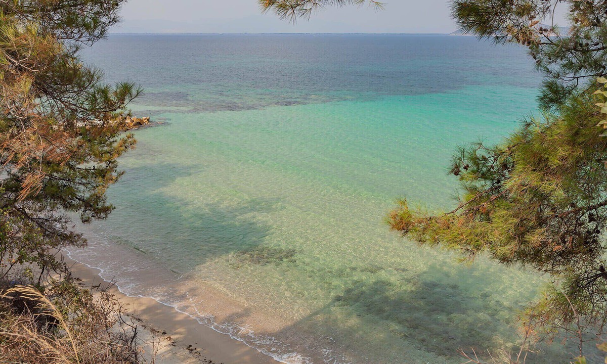 Thasos Town Hotel | Esperides Hotel