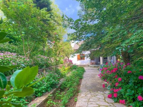 Central Tzoumerka House | Forest cottage top of the world