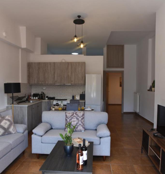 Trikala Apartment | Fully renovated apartment-Trikala Agia Moni