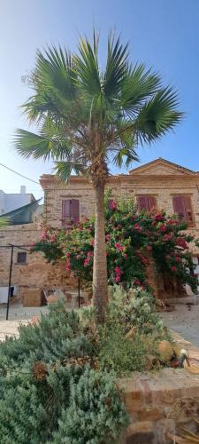 Chios Town Apartment | Garden of Chios - Mosaic