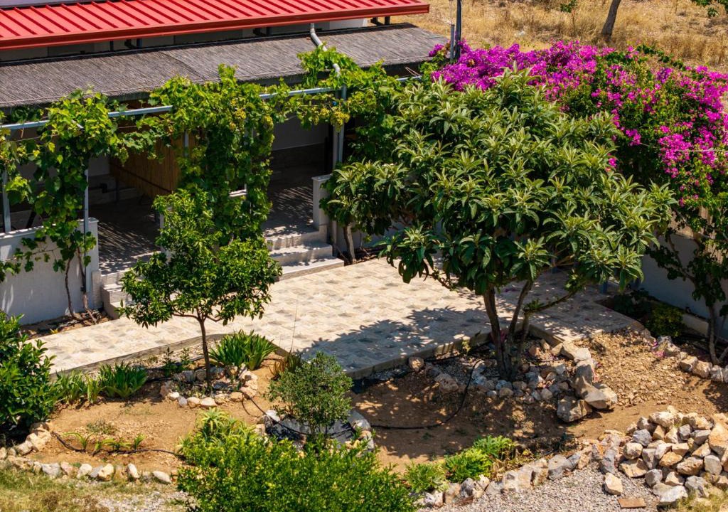 Salamis Apartment | Garden Room by the Vineyard Salamis