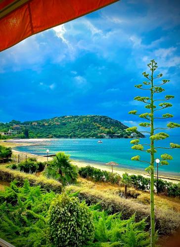 Pella Region Apartment | Golden Coast Panagias Apartment