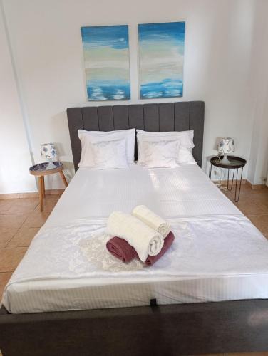 Koinira Apartment | Golden Vali House