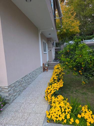 Dajt Apartment | Green Oasis