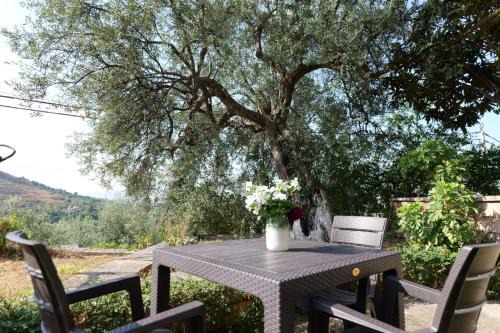 Delvine Villa | Green Villa in Delvine
