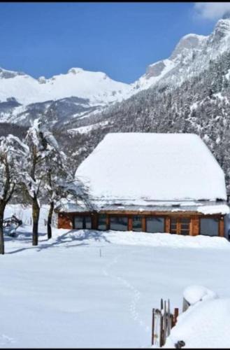 Valbone House | Guest house 2