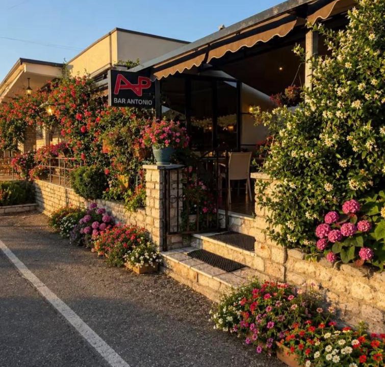 Sakës House | Guest House Antonio