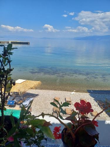 Pogradec Hotel | Guest House Justinian