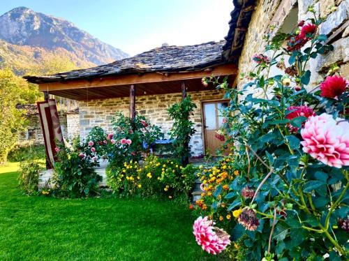 Berat House | Guest House Qafe Dardha - Tomorr National Park