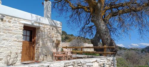 Aperathos House | Hatzanario Apeiranthos