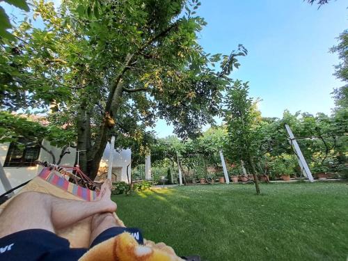 Korce House | Holidayhome with 100% bio food