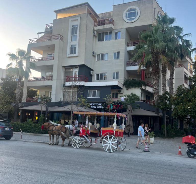 Golem Apartment | HOTEL Apartments ARDO