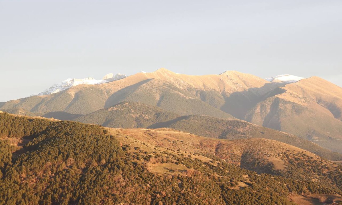 Livadi Hotel | Hotel Mitikas