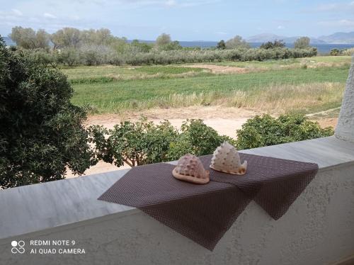 Mastichari Hotel | IASONAS APARTMENTS