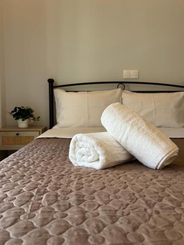 Dafni-Ymittos Apartment | Ilias House