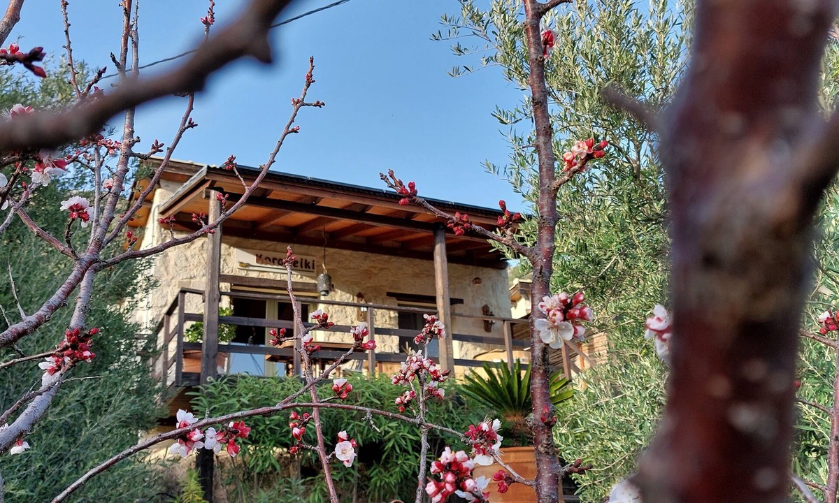 Kalivitis Cottage | Kalyvitis, Cottage in the olive grove, only 5 min. from the sea
