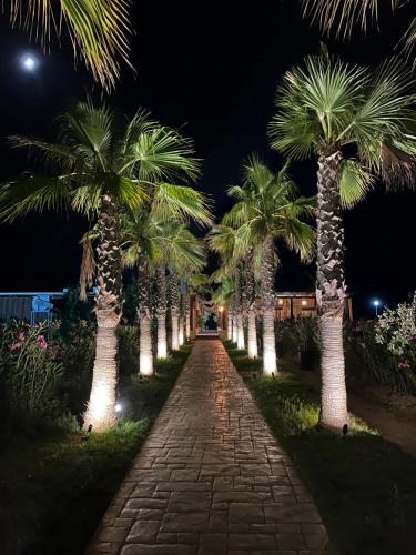 Ishem House | Kena Apartments - Lura 2 Resort