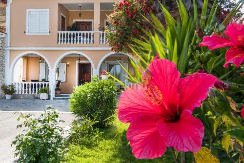 Pantokratoras Apartment | La Dolce Terra by "Elite" near Laganas Beach