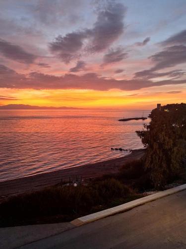 Nea Fokaia House | Lia Apartment Sea View