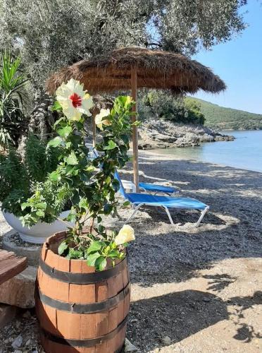 Kali Vrysi Other | MARATHIAS BEACH MISS ASIMENIA One empty pitch for your RV ΜΙΑ ΘΕΣΗ CAMBING RV